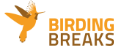 birdingbreaks