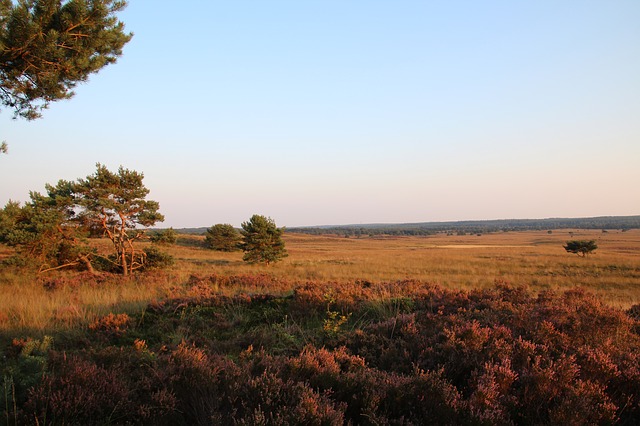 wandelroute veluwe