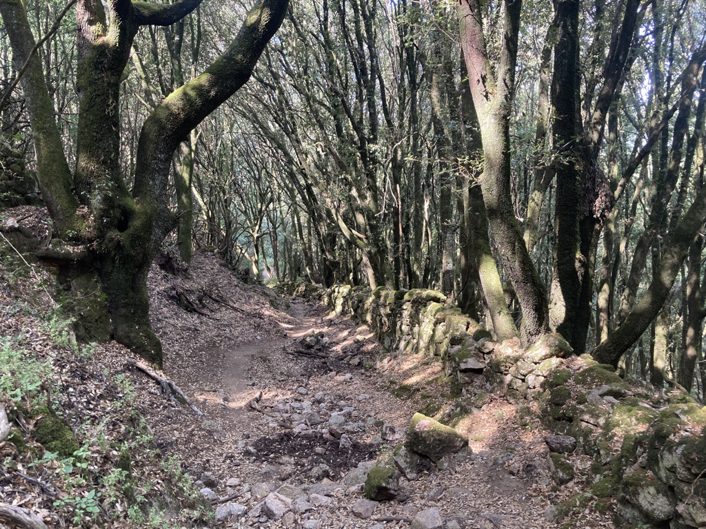 muurtje wandeling Corsica