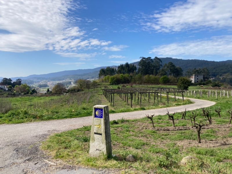 Camino Portugues landschap