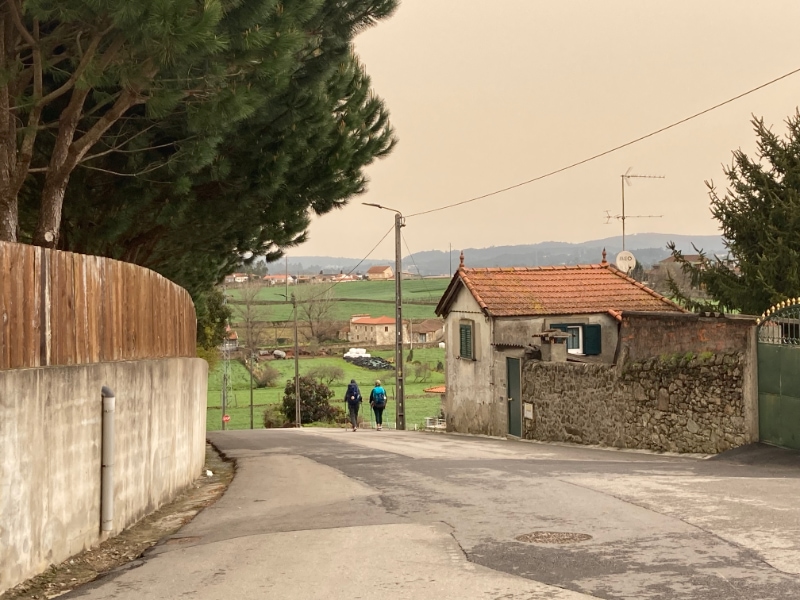 asfaltweg op de camino in Portugal