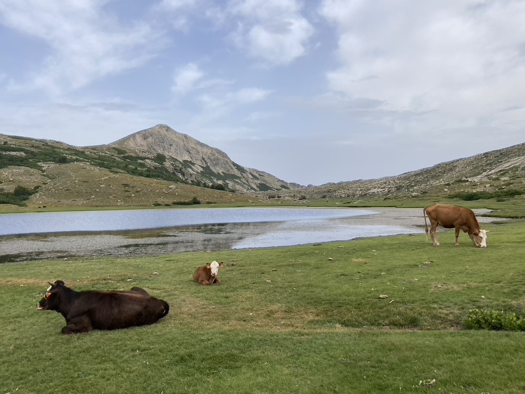 Lac de Ninu