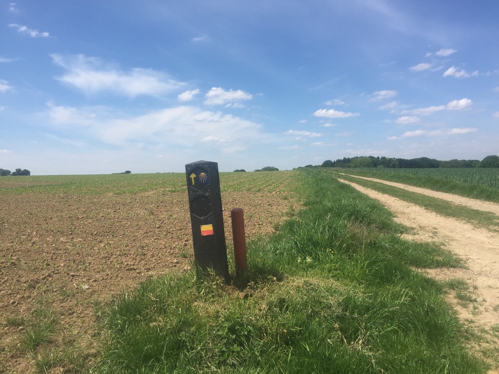 Krijtlandpad verlaten weg