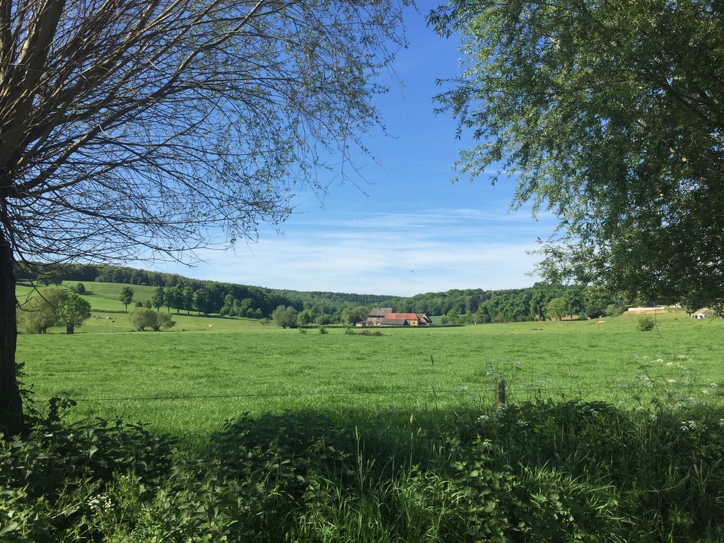 Krijtlandpad doorkijkje