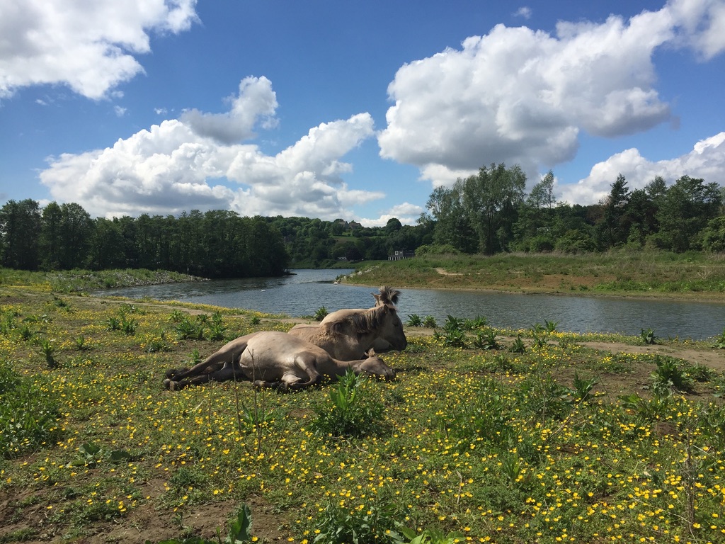 Dag 1 Krijtlandpad Wandelvakantie