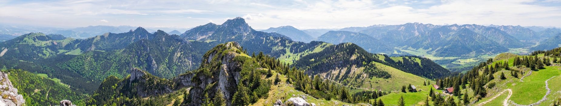 Groene alpenwijde