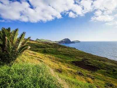 Madeira kustljin