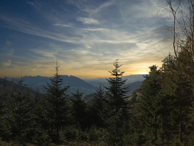 Zwarte Woud bij Freiburg