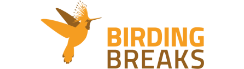 BirdingBreaks logo