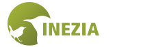 Inezia Tours logo