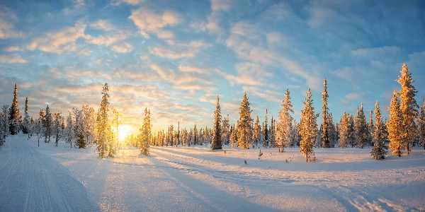 Sneeuw in Lapland