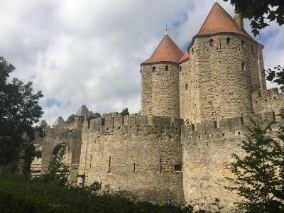Frankrijk stadsmuren Carcassonne