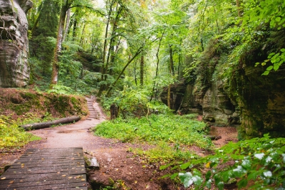 Luxemburg mullerthal Trail