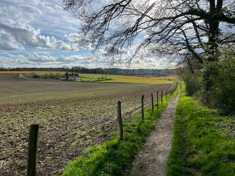 Limburgs landschap