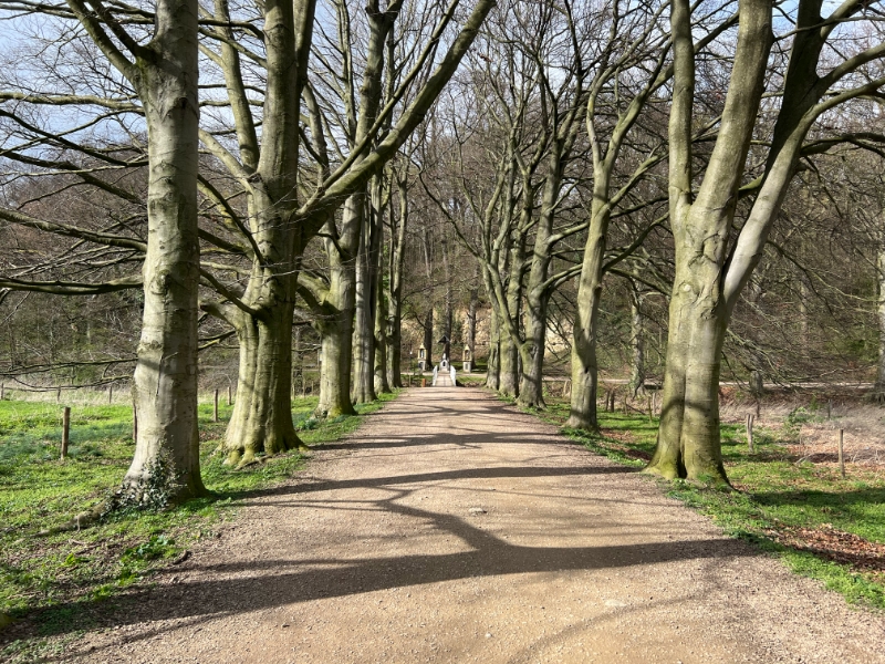 Laan tijdens Hoogtewandeling Valkenburg