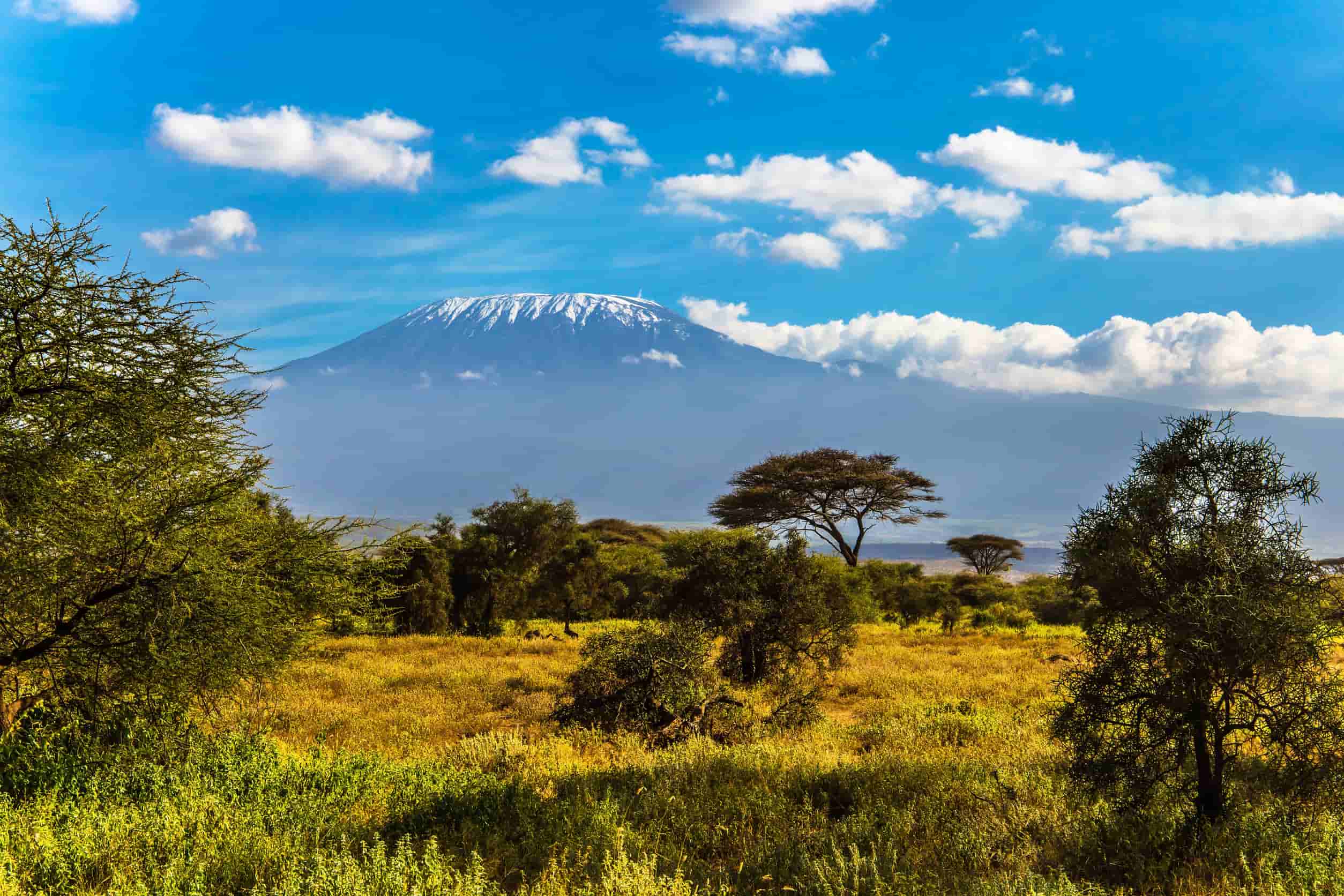 Amboseli Park met de Kilimanjaro