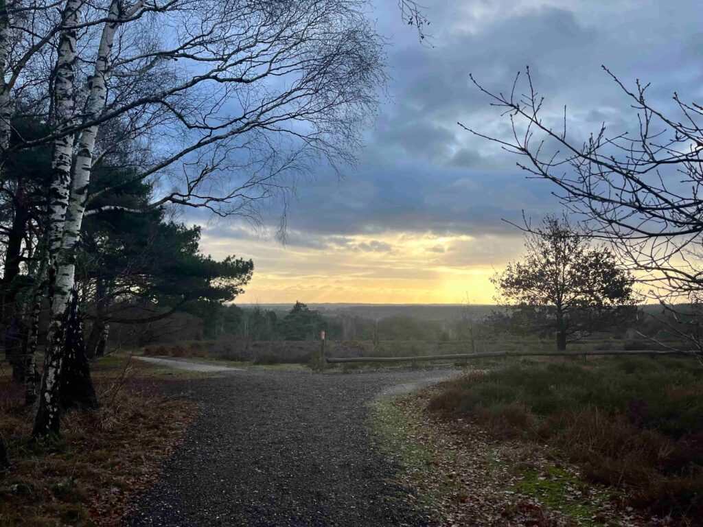 Pieterpad in de Winter: op de Heide tussen Hellendoorn en Holten