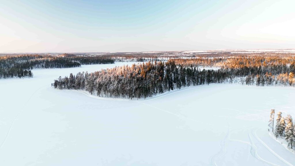 Bevroren Fins winterlandschap