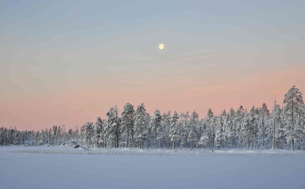 Winterlandschap Finland