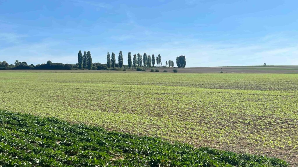 Akker Krijtlandpad Limburg