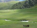 Paardrijden en Hiken in Tong Kirgizië