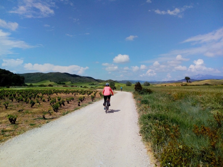 Fietsvakantie in La Rioja