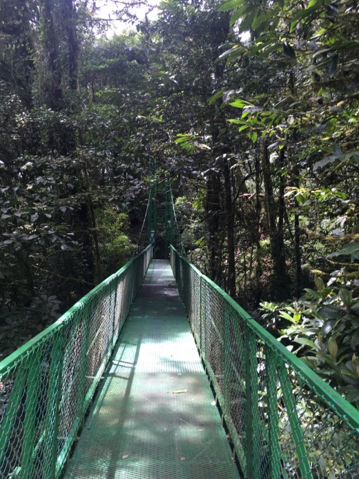 Hanging bridges Costa Rica