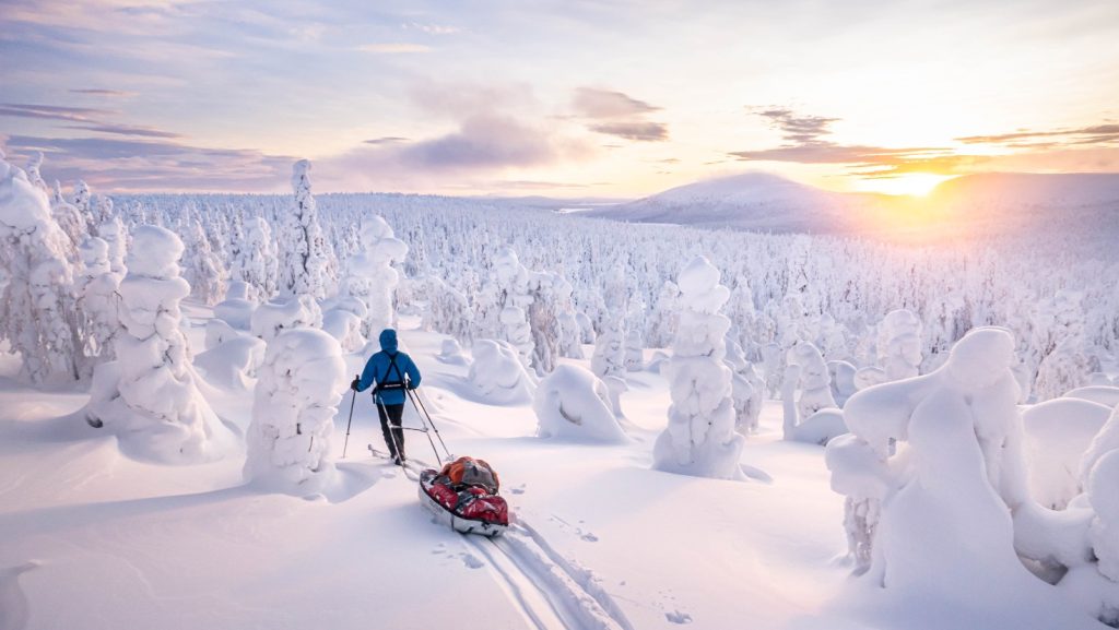 Pulka-expeditie Fins Lapland