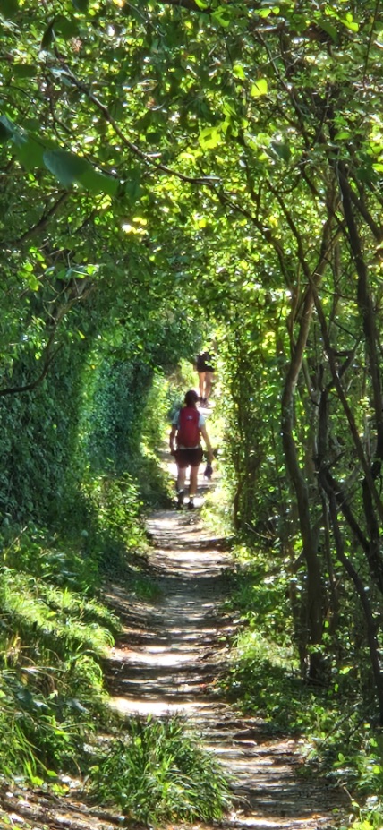 Dutch Mountain Trail