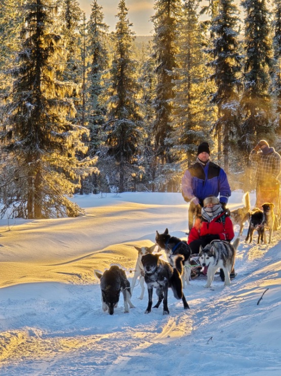 Hondenslee rijden in Lapland met Pippin