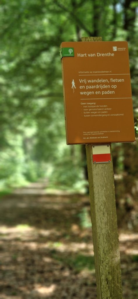 Wandelen over Pippin's Drenthel Trail