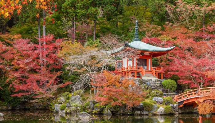 Tuin Kyoto in de Herfst Japan