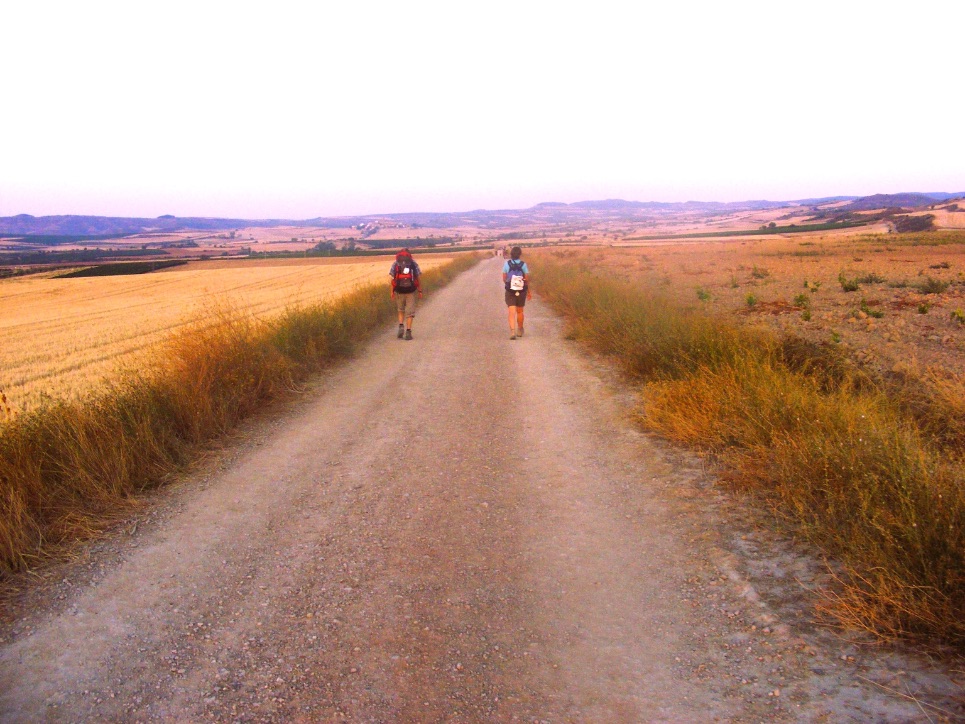 pelgrimroutes.nl via de la plata