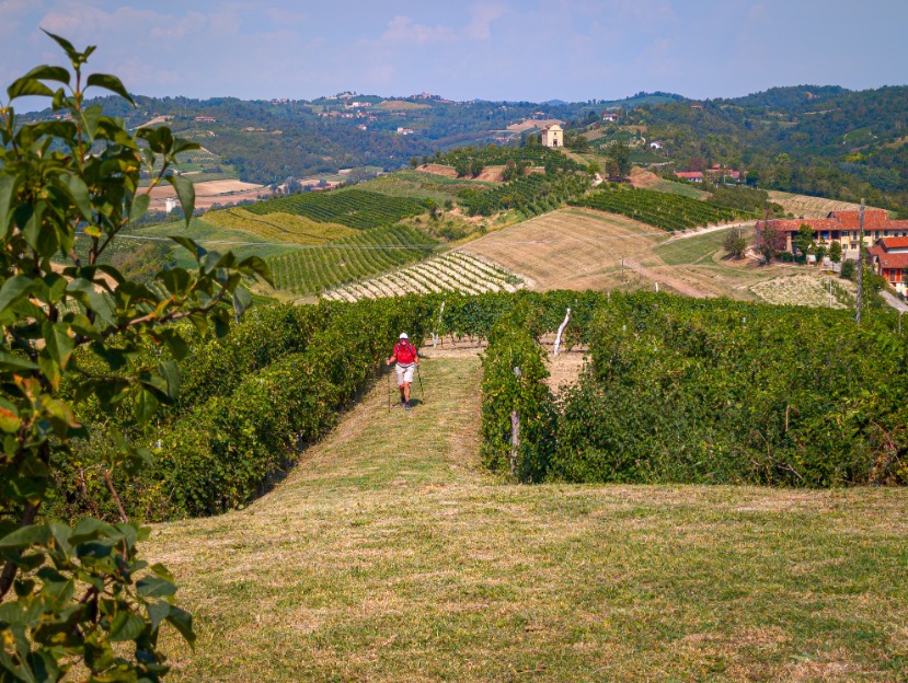 Wandelvakantie Piemonte door de wijnvelden