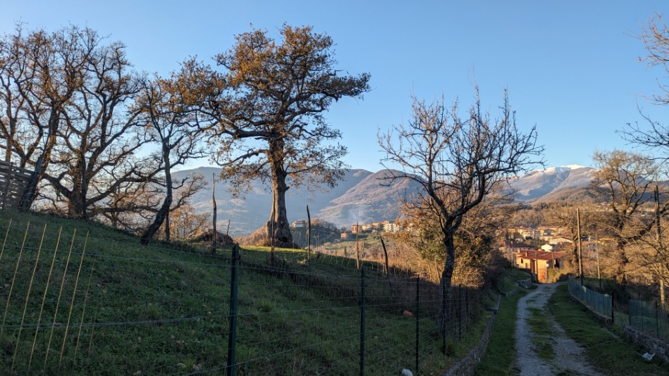 Caselle in Pittari Cervati Tours