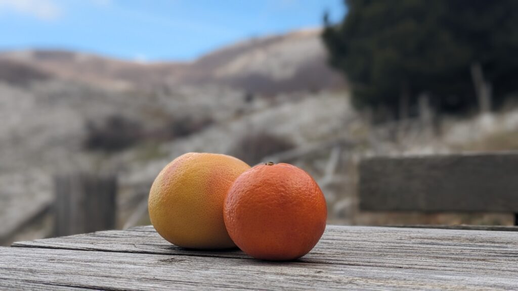 Arance - Capella Monte Vivo - Piaggine