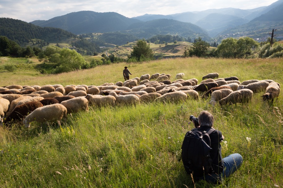Tijdens de fotowandelingen van fotowandelaars.nl stoppen we langer op plekken waar je mooi kunt fotograferen