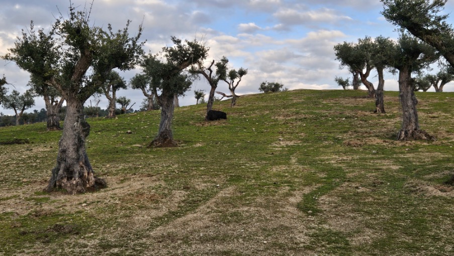 Valpaços, Trás-os-Montes Portugal