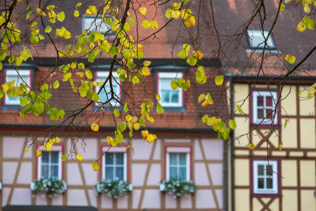 Wandelhotel in Duitsland met bladeren