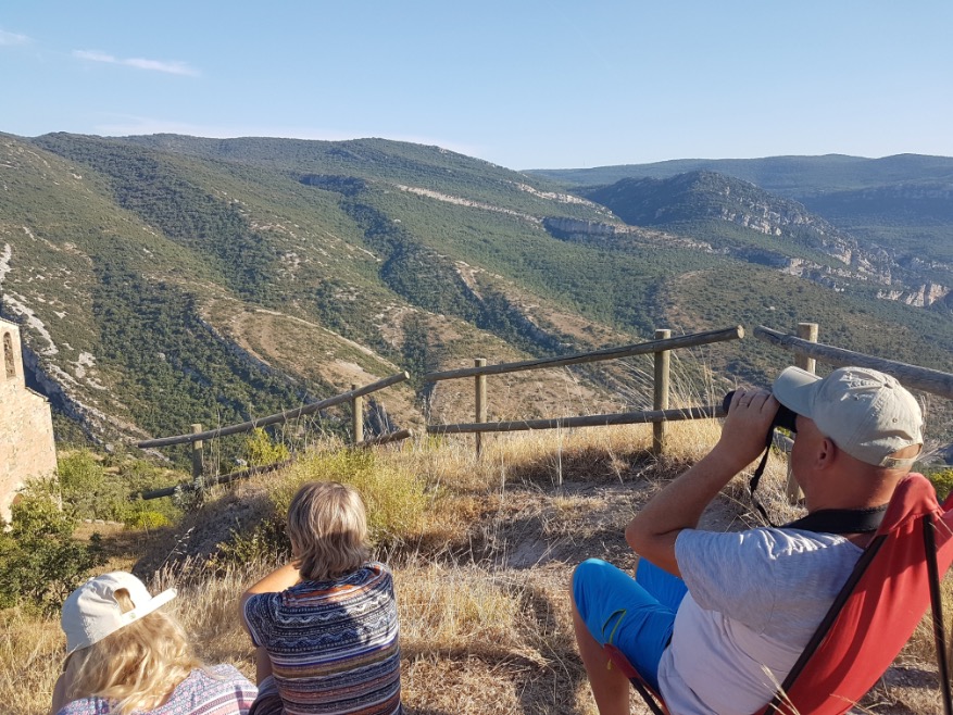 Gieren spotten in Spaanse Pyreneeën