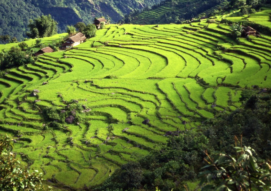 Typisch terrassenlandschap Himalaya