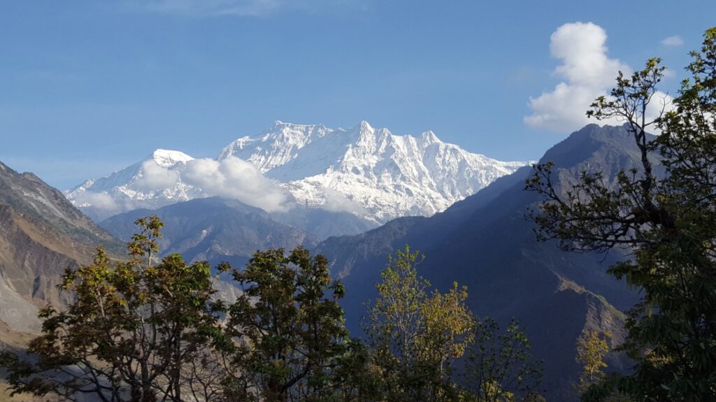 Snow Leopard Van laagland naar 8000 meter