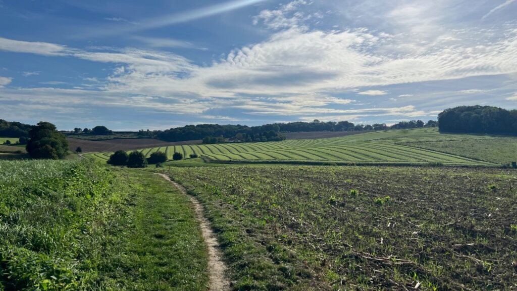 Glooiende akkers Limburg